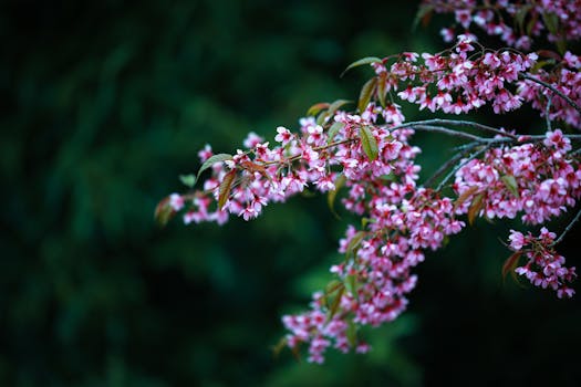 peaceful garden scene with flowers