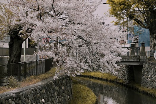 A serene park with blooming flowers