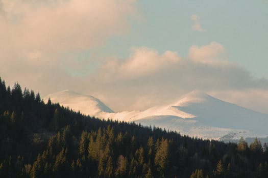 serene nature landscape