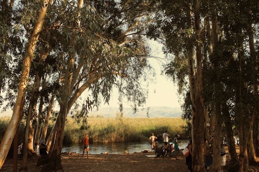 group forest bathing session