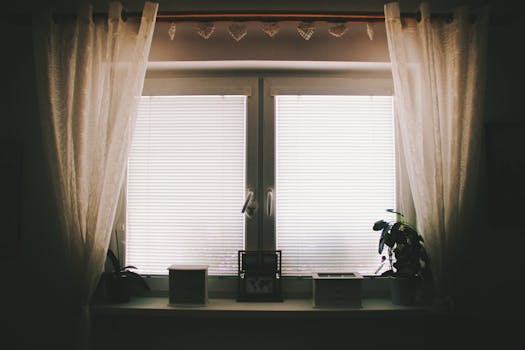 indoor plants in a cozy living room