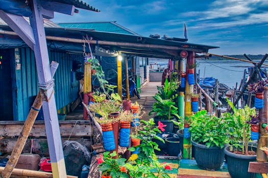 urban garden with pots and greenery