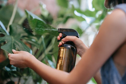 close-up of hands watering plants