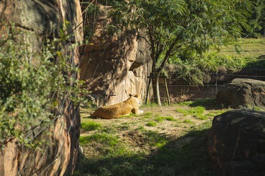 A lush forest habitat filled with diverse species
