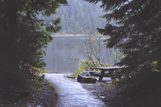 serene picnic spot by a lake