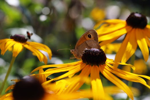 a peaceful garden filled with wildflowers