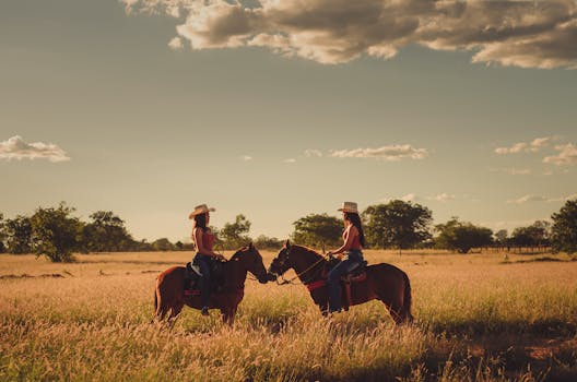 wildlife friendships in nature