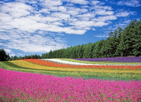 lush garden with flowers