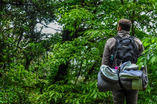 Mindfulness hiking in a serene forest