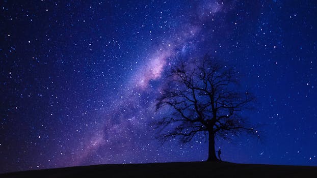 Stargazing during an astronomy night