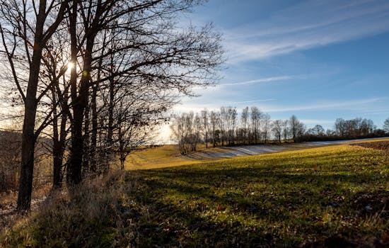 relaxing nature scene